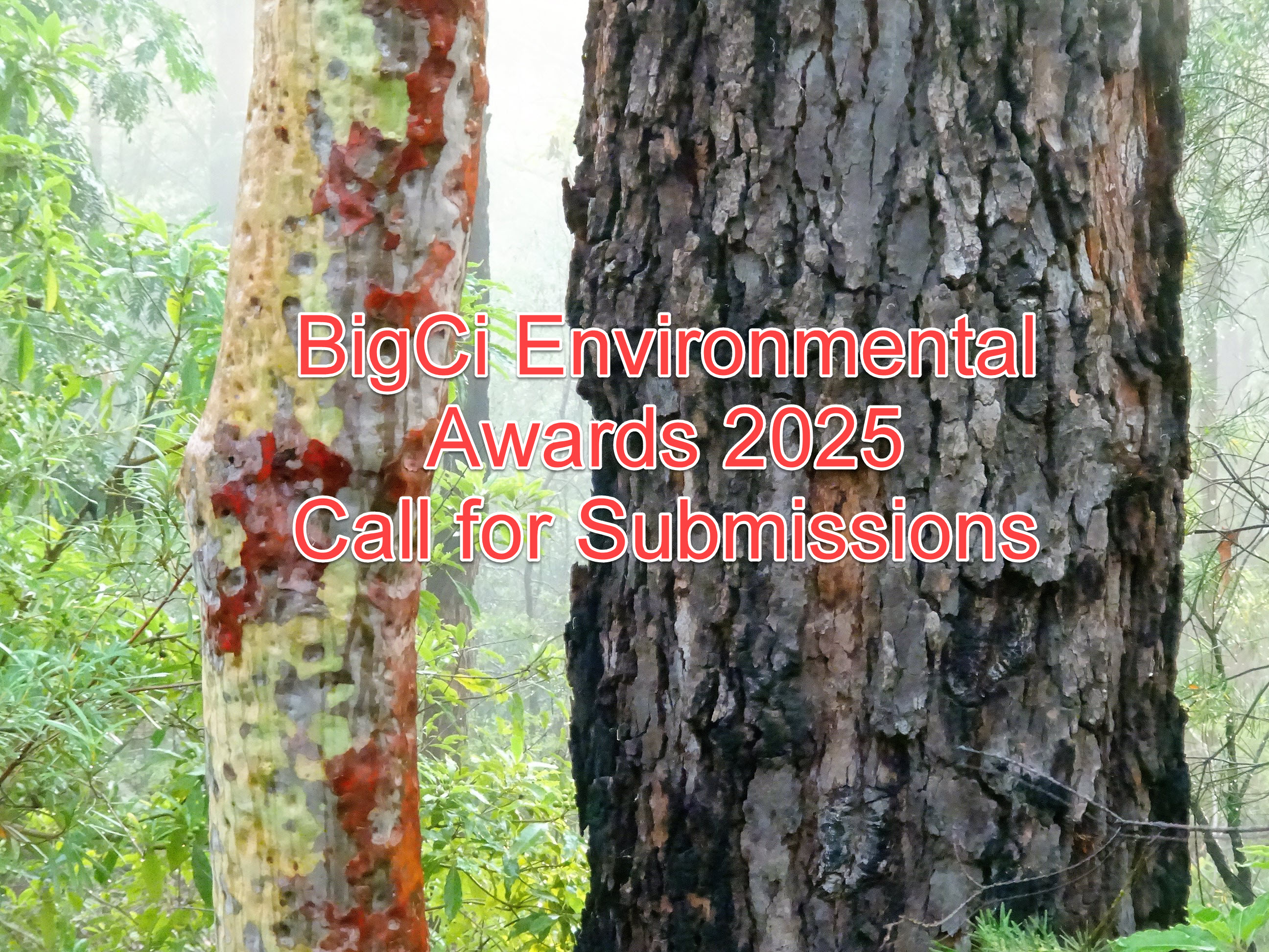 BigCi Environmental Awards 2026